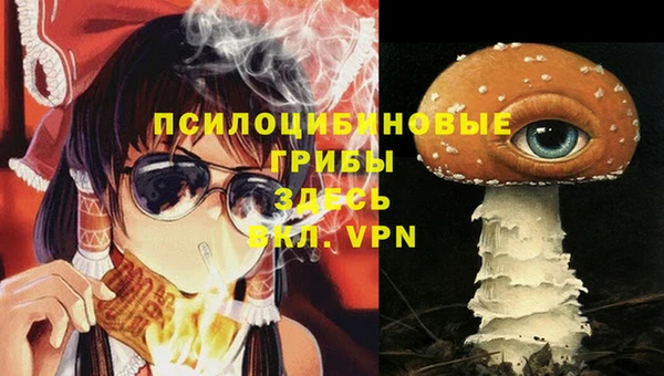 мескалин Пролетарск