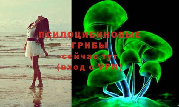 мескалин Пролетарск