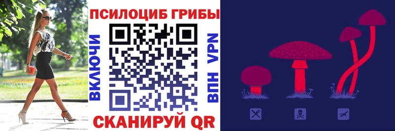 Галлюциногенные грибы Psilocybe  Остров 